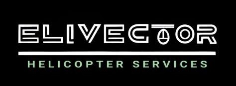 Elivector Logo